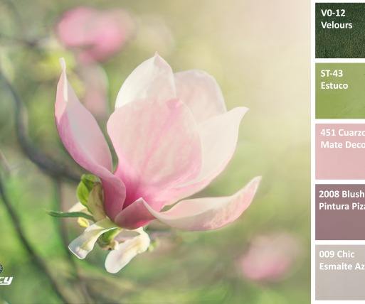 Inspiración floral para nuestra nueva propuesta cromática