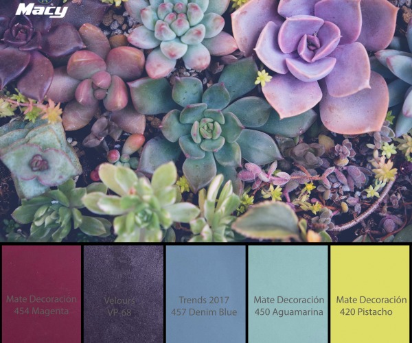 Plants inspiration, nueva propuesta cromática